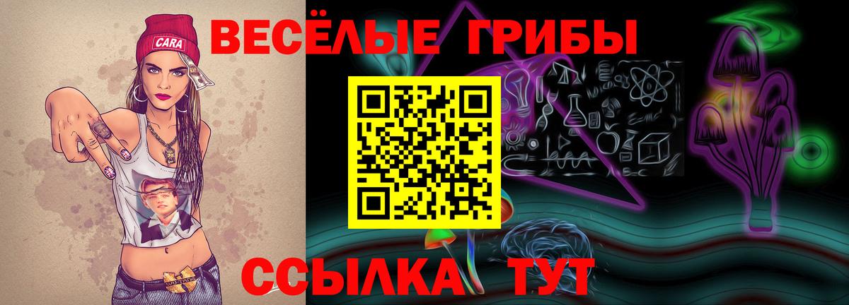 Камышлов  Галлюциногенные грибы Cubensis  Вход с VPN  Псилоцибиновые грибы Psilocybe 